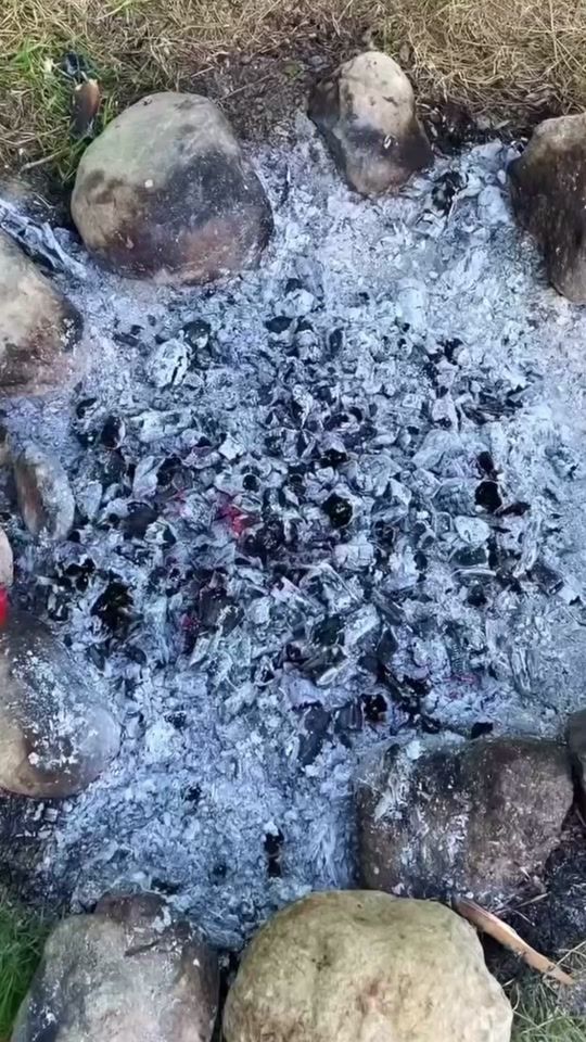 TikTok video thumbnail by dogadelisi