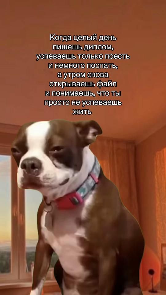 TikTok video thumbnail by nesli9797