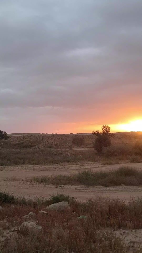 TikTok video thumbnail by abo_salm82