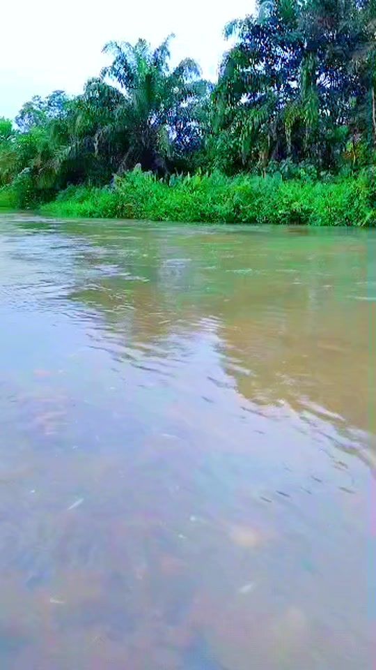 TikTok video thumbnail by expensivemami5