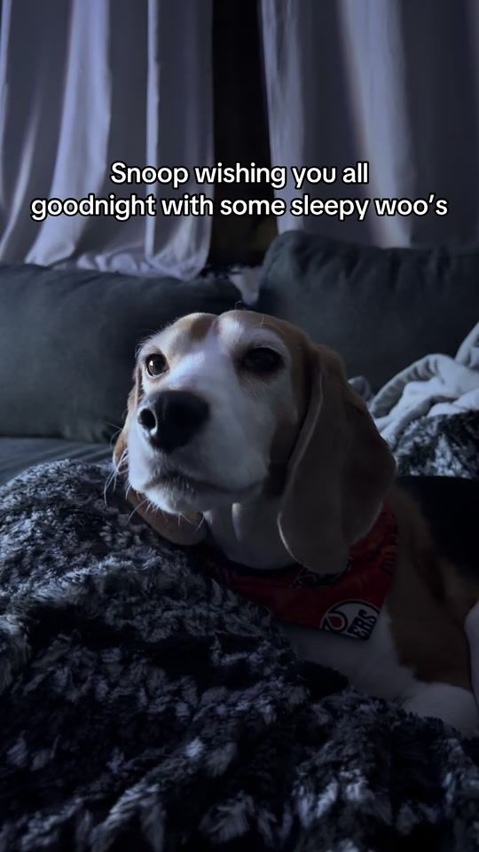 TikTok video thumbnail by swoledamort