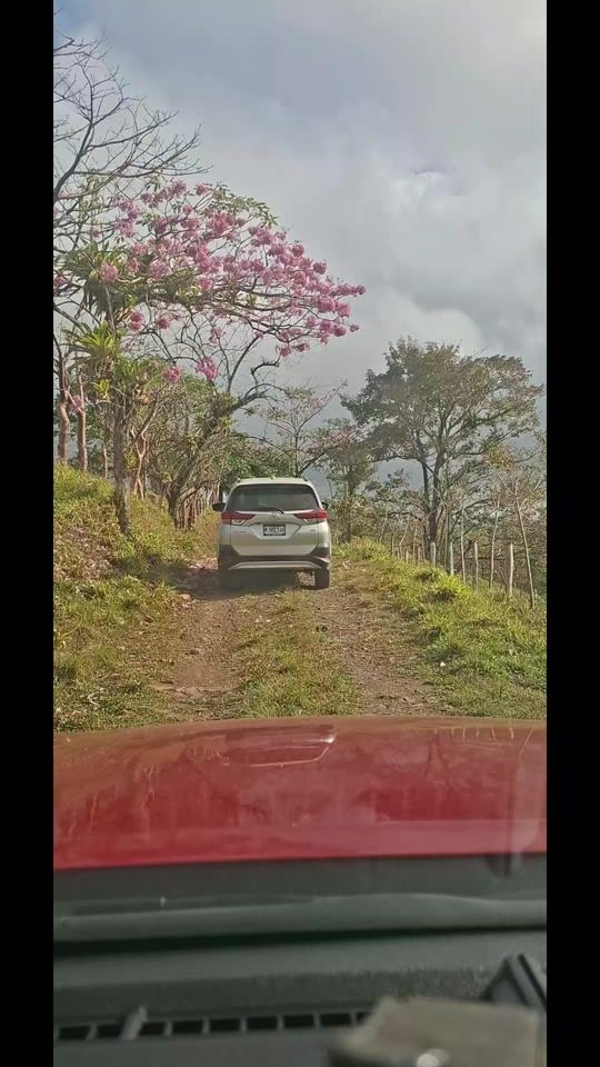 TikTok video thumbnail by pabloabsalonlagos