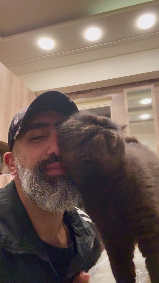 TikTok video thumbnail by ifbb.pro.abbas.awada