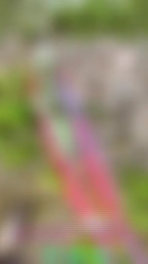 TikTok video thumbnail by itz_vano69