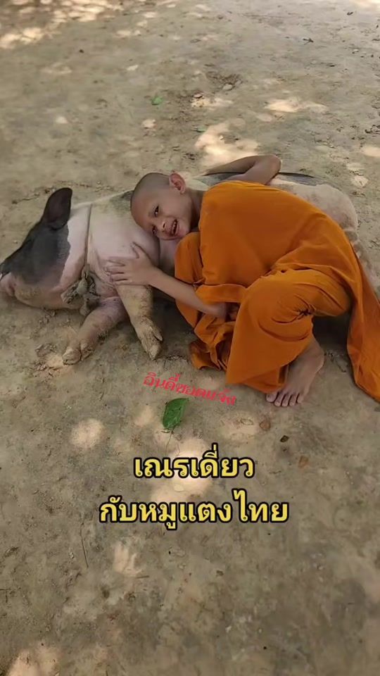 TikTok video thumbnail by indy_sodjang
