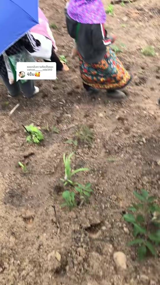 TikTok video thumbnail by khong3673