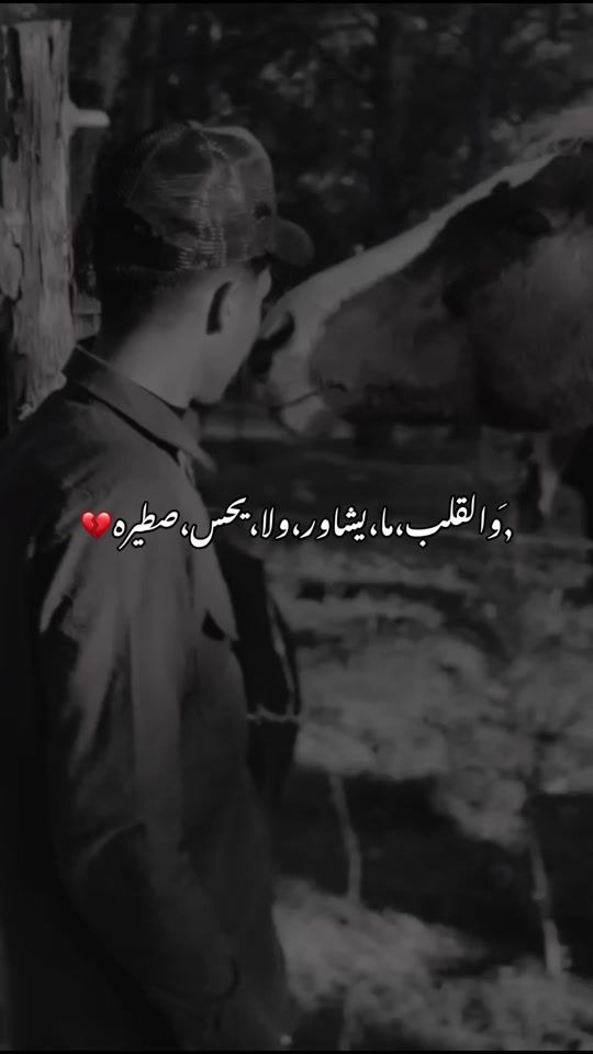 TikTok video thumbnail by abdalla_eb