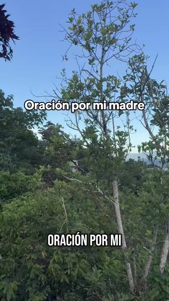 TikTok video thumbnail by iamrommel47