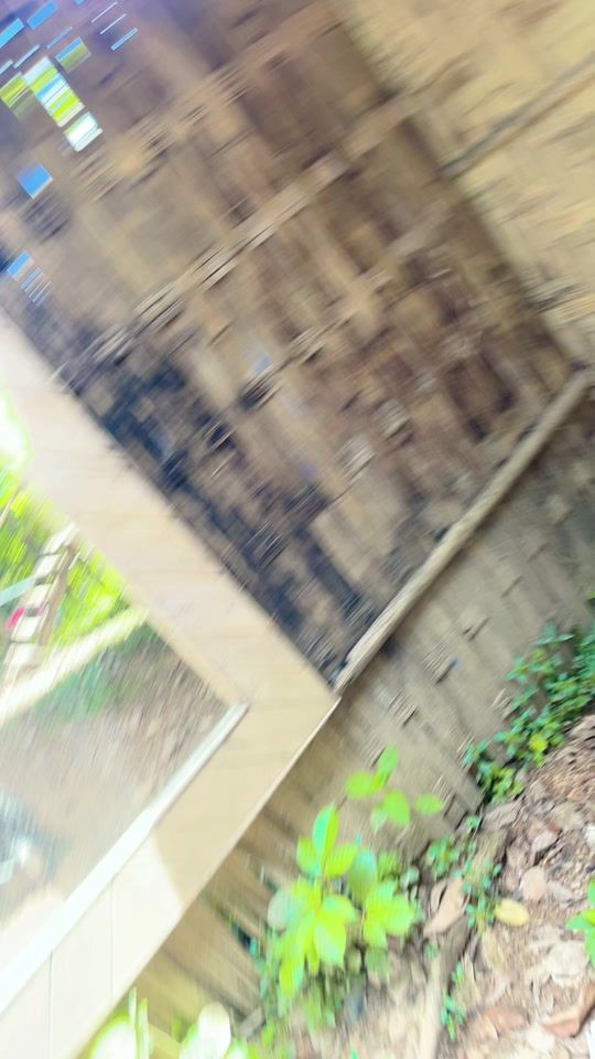 TikTok video thumbnail by mirswapnahossain