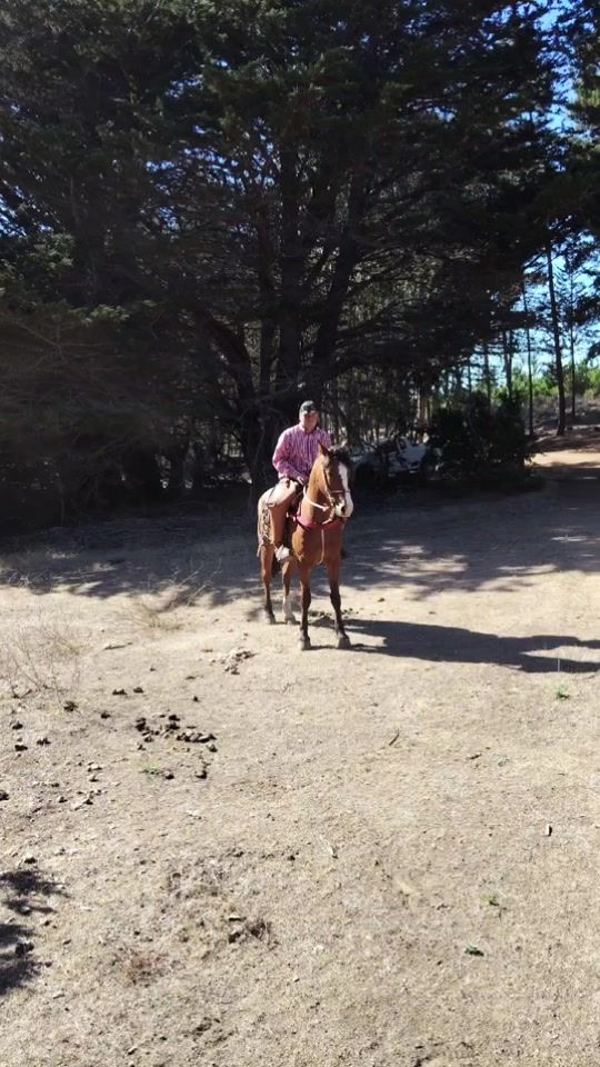 TikTok video thumbnail by maritocampos1