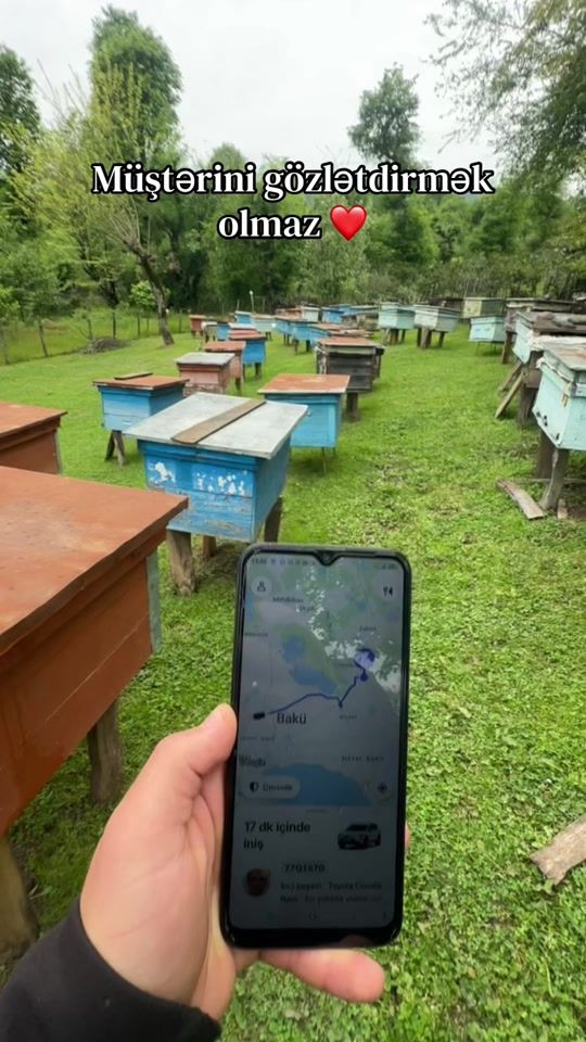 TikTok video thumbnail by ovala__bali
