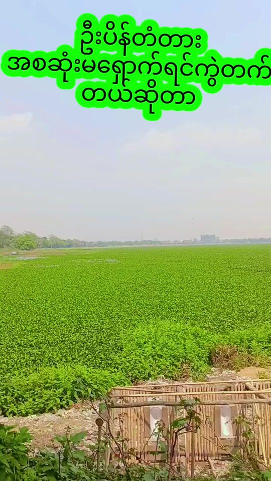 TikTok video thumbnail by chittoe81