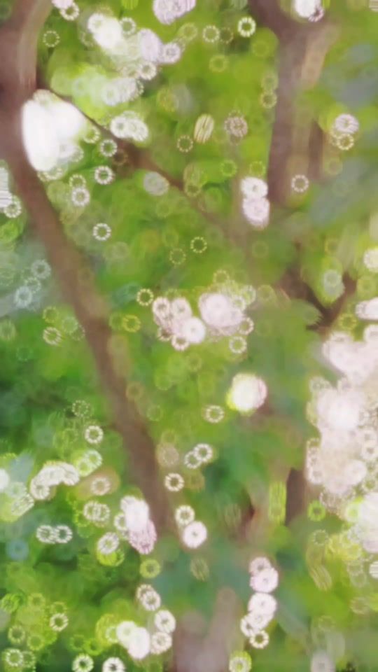 TikTok video thumbnail by bdlionsojib