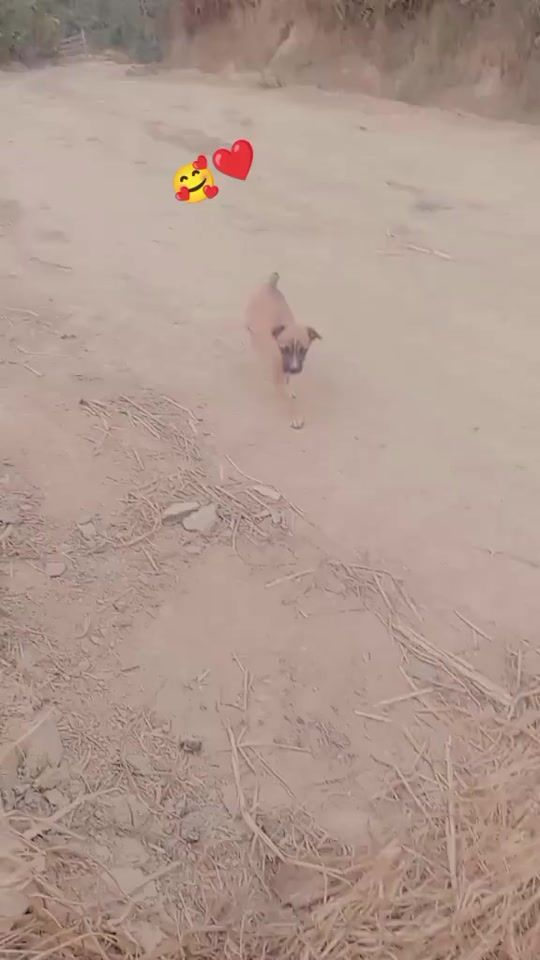 TikTok video thumbnail by vilmacalmo