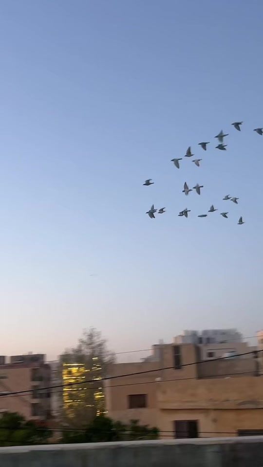 TikTok video thumbnail by hamooda965