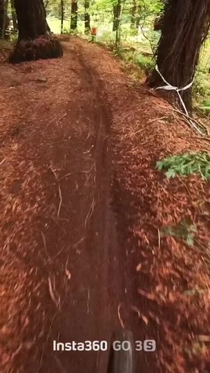TikTok video thumbnail by harrisonparnwell