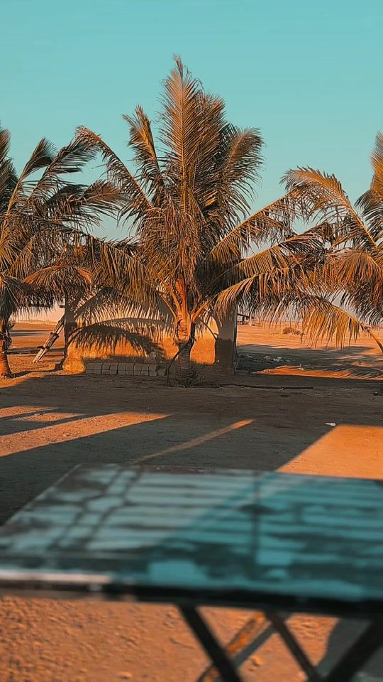 TikTok video thumbnail by 7sllu