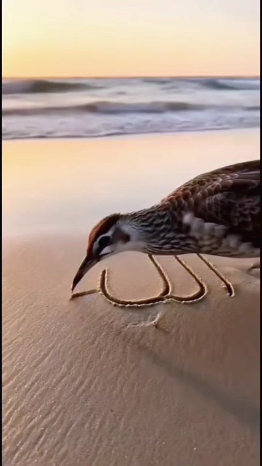 TikTok video thumbnail by lovelay879