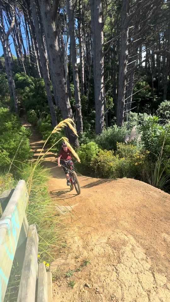 TikTok video thumbnail by ned.thursby