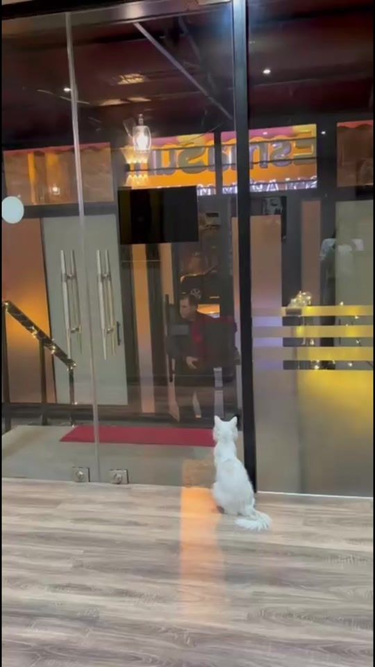 TikTok video thumbnail by esma__nur777