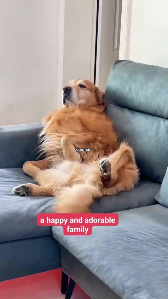 TikTok video thumbnail by user6057021969123