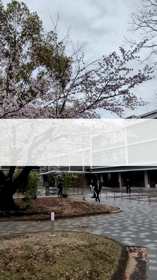 TikTok video thumbnail by hiroshima_pref