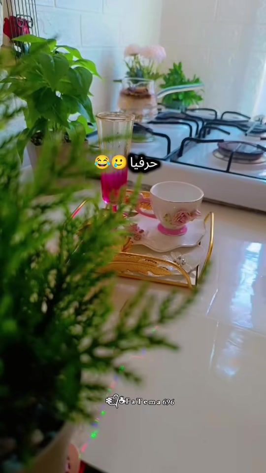 TikTok video thumbnail by fatema696