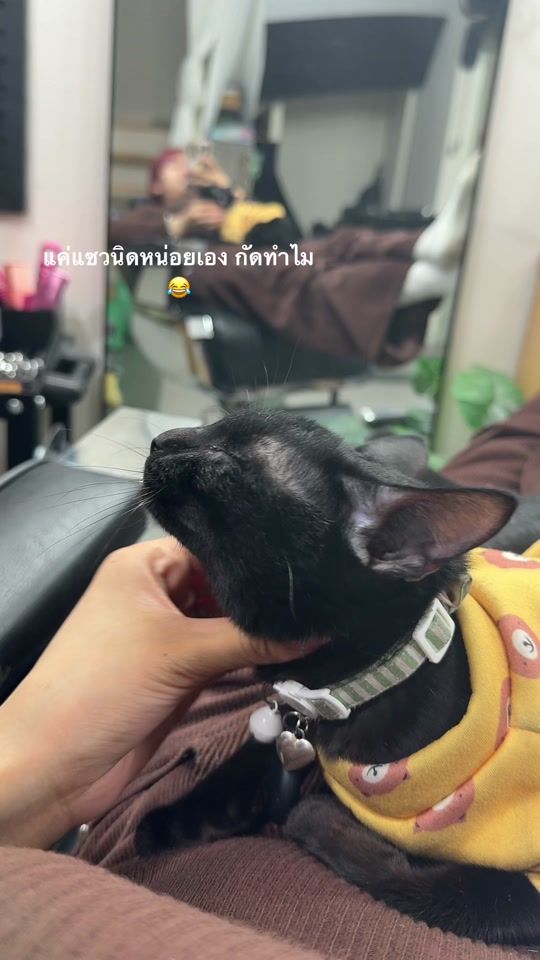 TikTok video thumbnail by mookyee.17