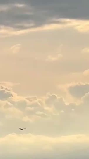 TikTok video thumbnail by az52l