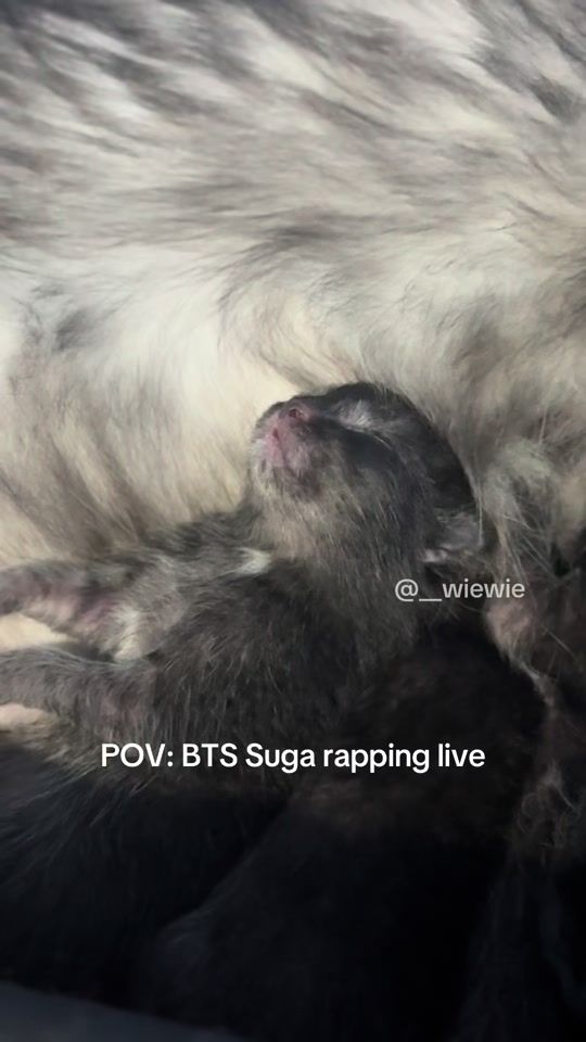 TikTok video thumbnail by __wiewie