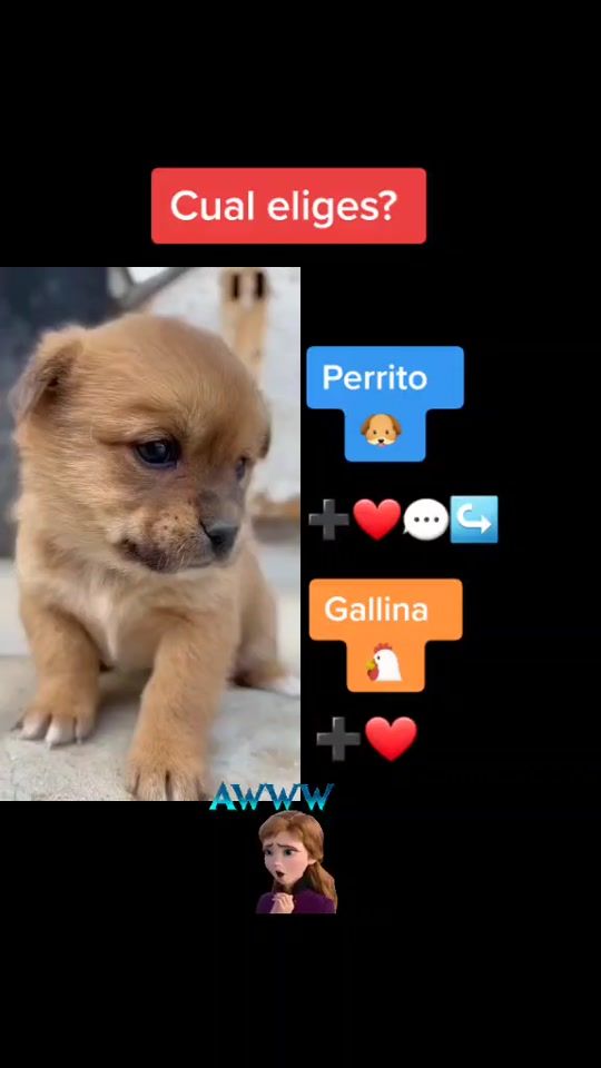 TikTok video thumbnail by caritolu4
