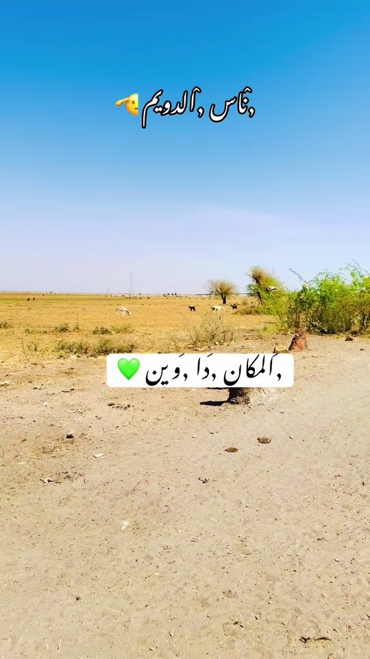 TikTok video thumbnail by user488vzedvfy