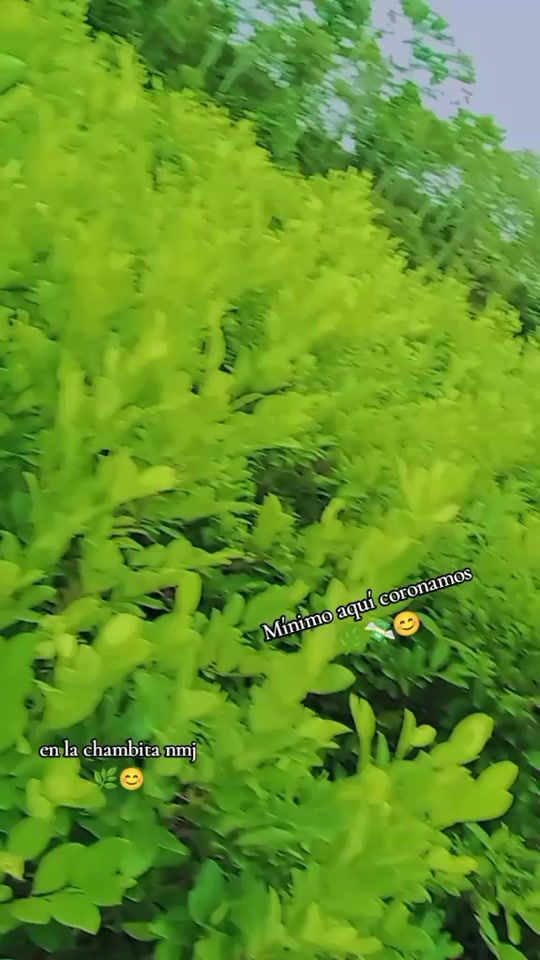 TikTok video thumbnail by ojedaofial
