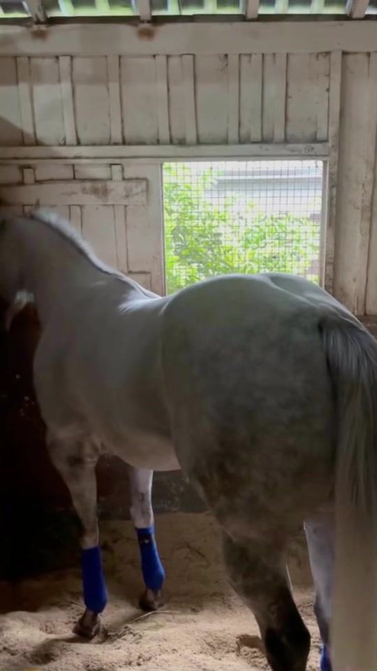 TikTok video thumbnail by stud_gpi