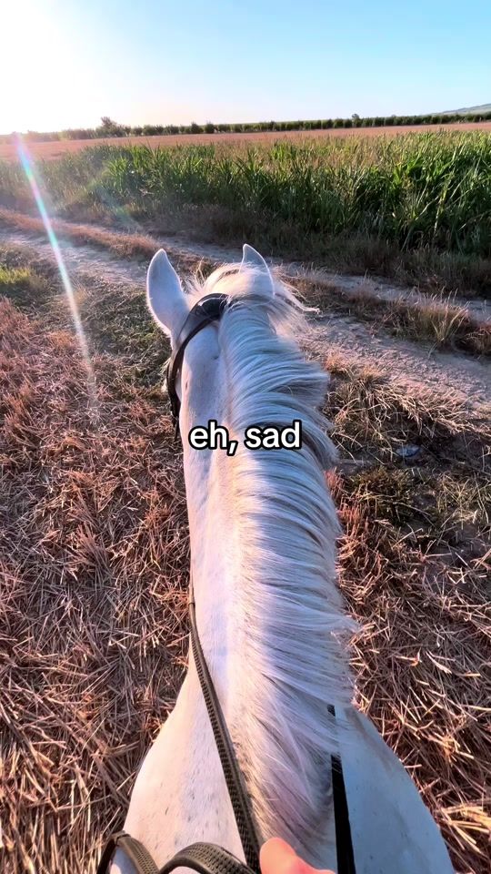 TikTok video thumbnail by shewolf_daydreamer