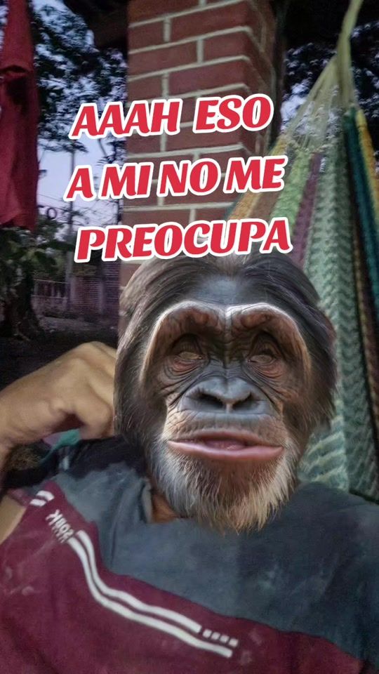 TikTok video thumbnail by zarcomiranda22