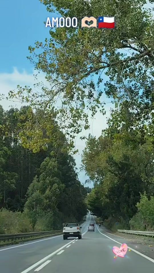 TikTok video thumbnail by loca_aventurera