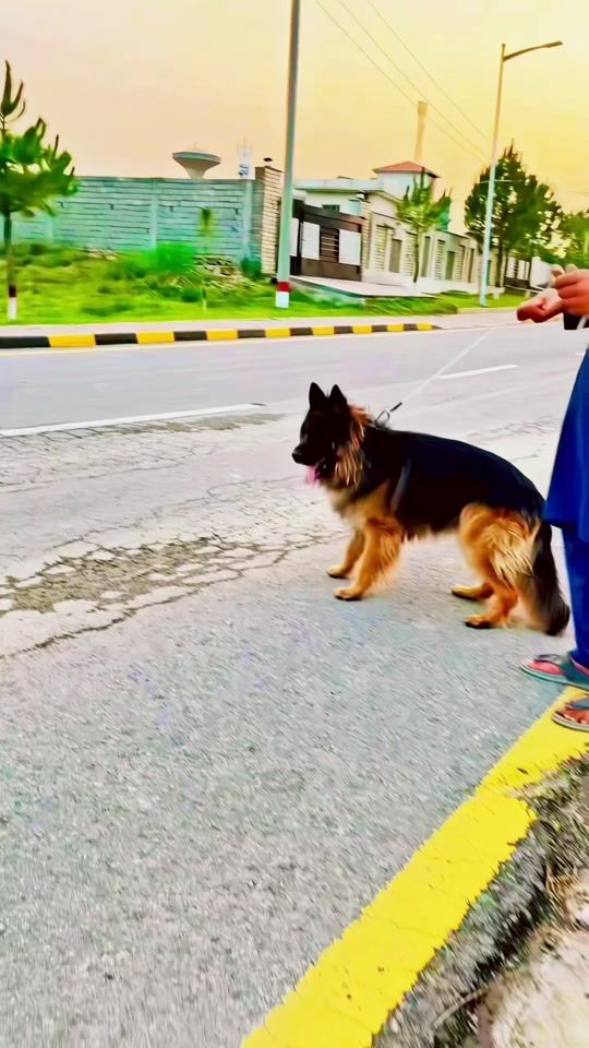 TikTok video thumbnail by samsab693