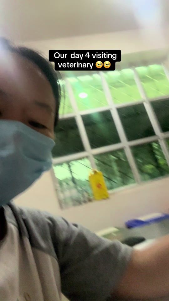 TikTok video thumbnail by passangdema6