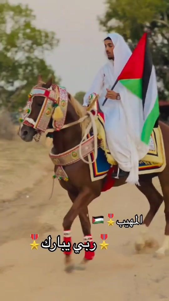 TikTok video thumbnail by abdo_halfaya2