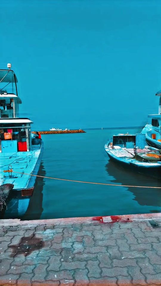 TikTok video thumbnail by shutttuu7