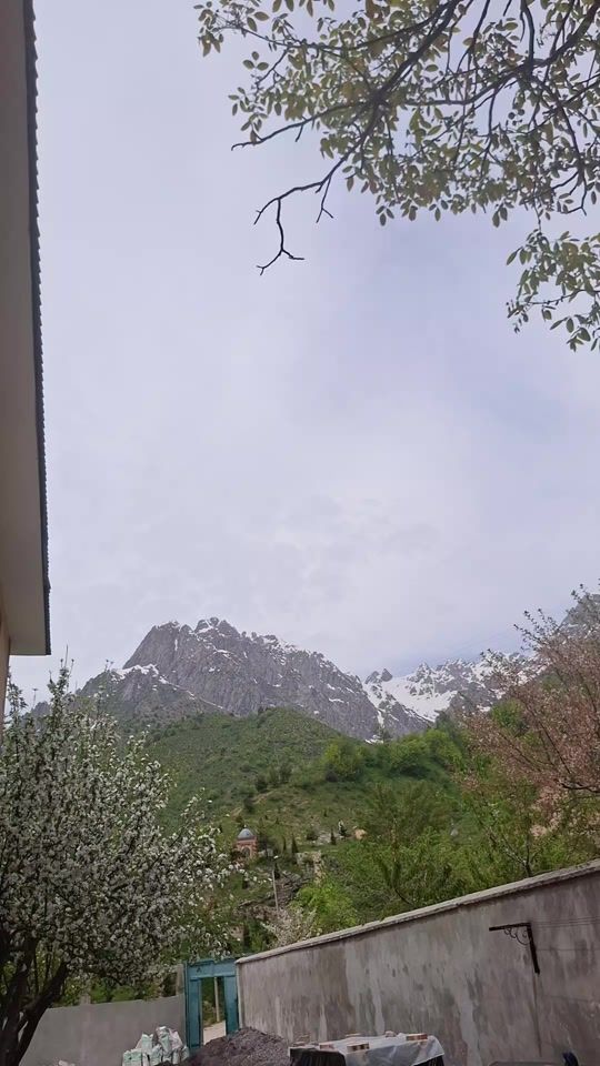 TikTok video thumbnail by .1.2.2.245