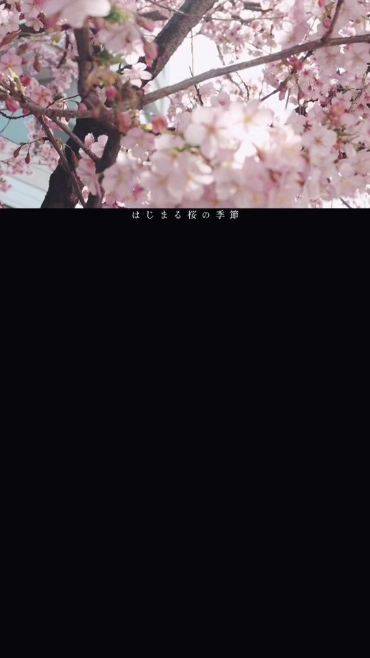 TikTok video thumbnail by maisondes_6half