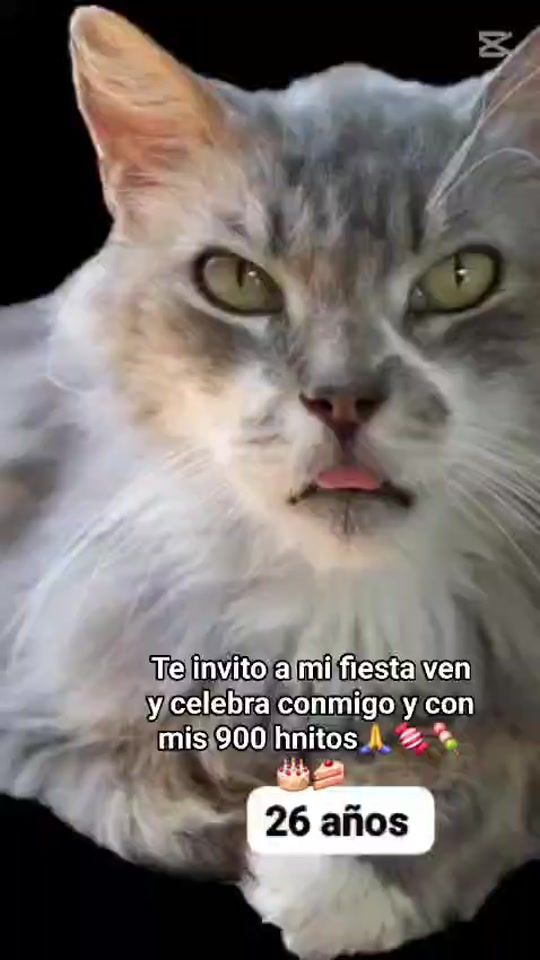 TikTok video thumbnail by mininos_felices