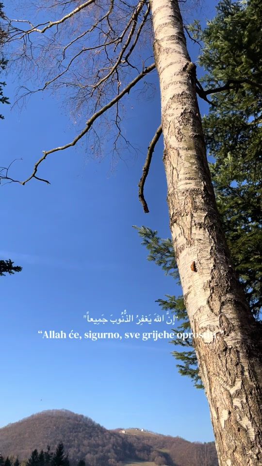 TikTok video thumbnail by mukovic.f