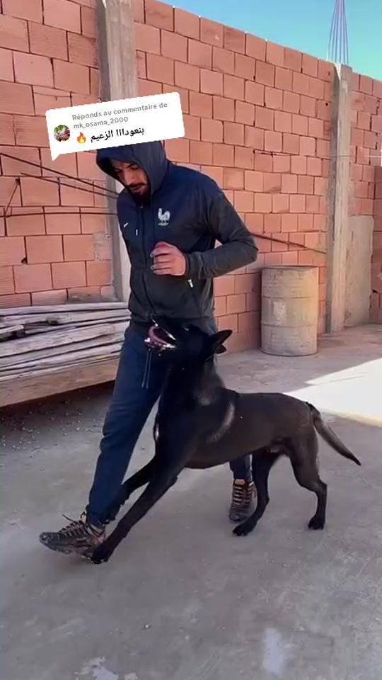 TikTok video thumbnail by benauda_bes