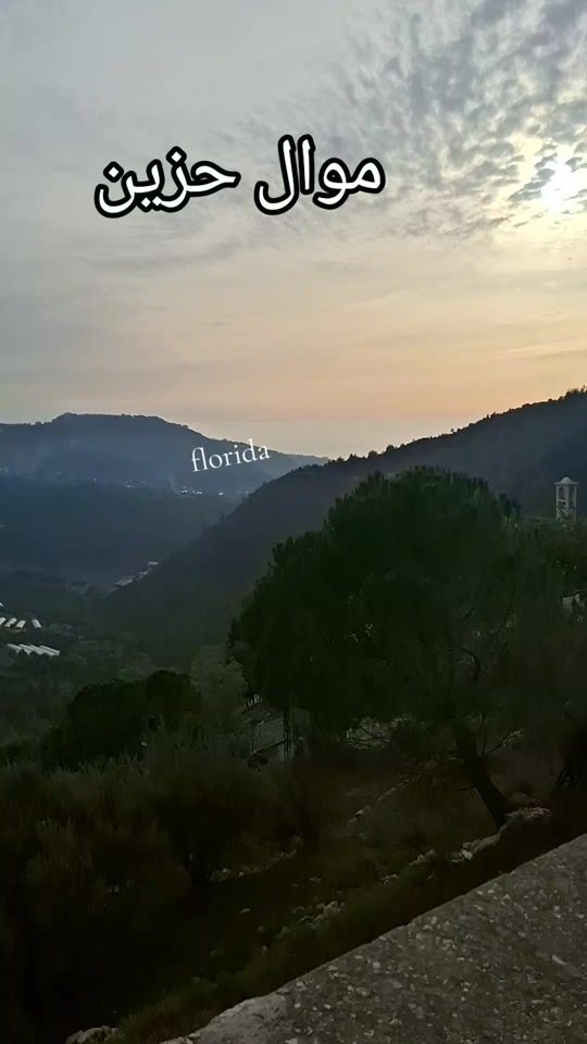 TikTok video thumbnail by floridaflorida39