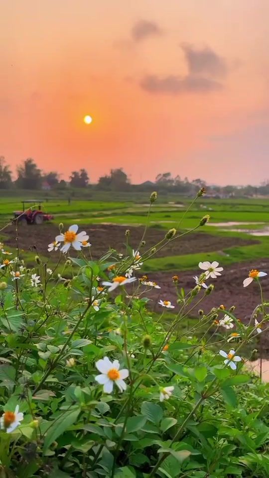 TikTok video thumbnail by sangay.wangmo04