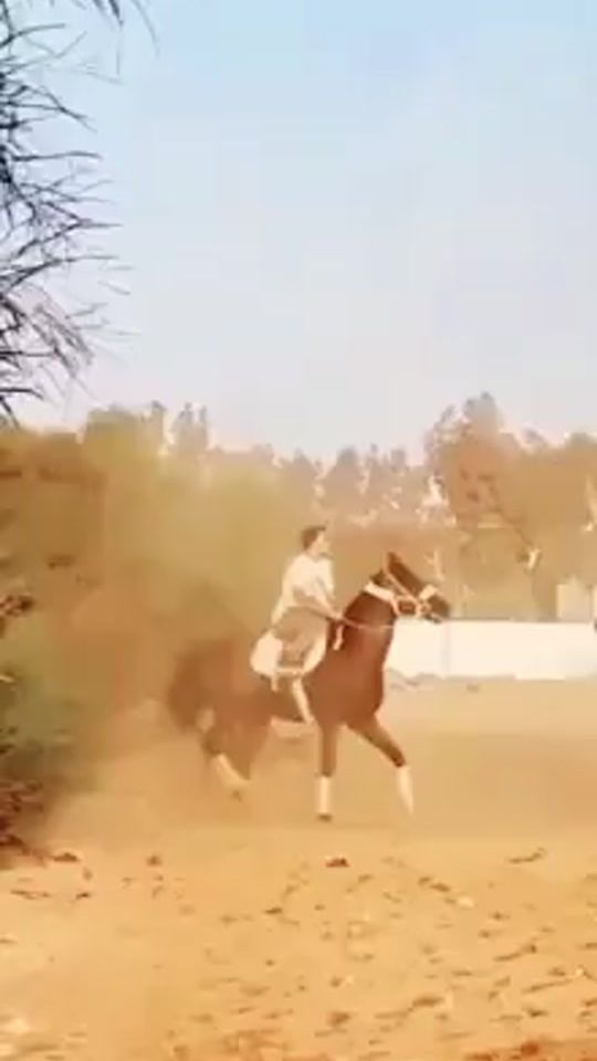 TikTok video thumbnail by algmati__93
