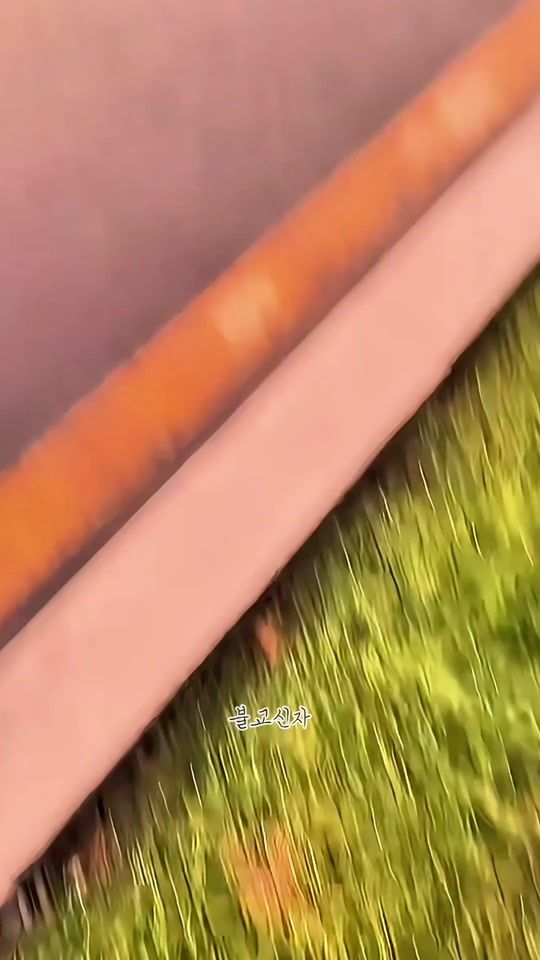 TikTok video thumbnail by koreabuddhist